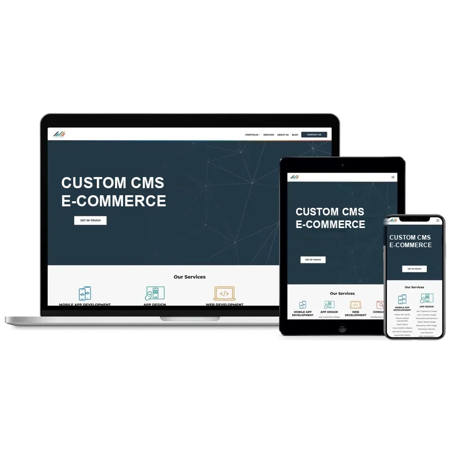Custom CMS E-Commerce Website